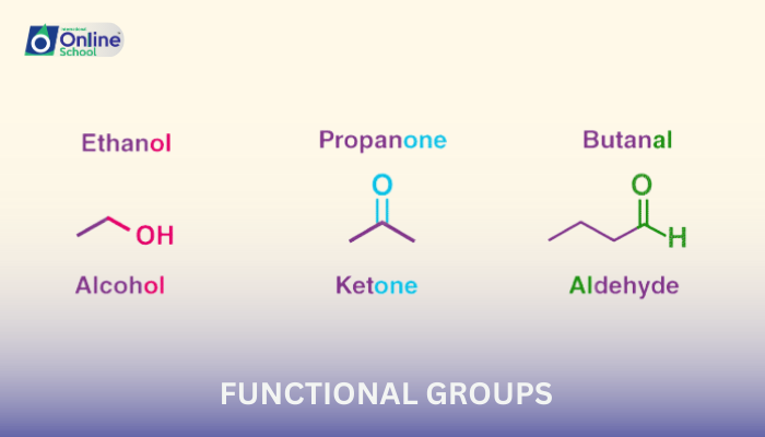 Lesson 11: Introduction to Functional Groups